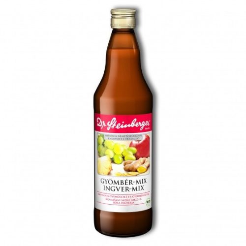 Dr. Steinberger zázvorový mix (bio) – 750 ml